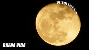 putolunes.es | buena vida - luna dorada