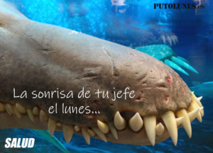 PUTOLUNES.es | SALUD - La sonrisa de tu jefe el lunes.